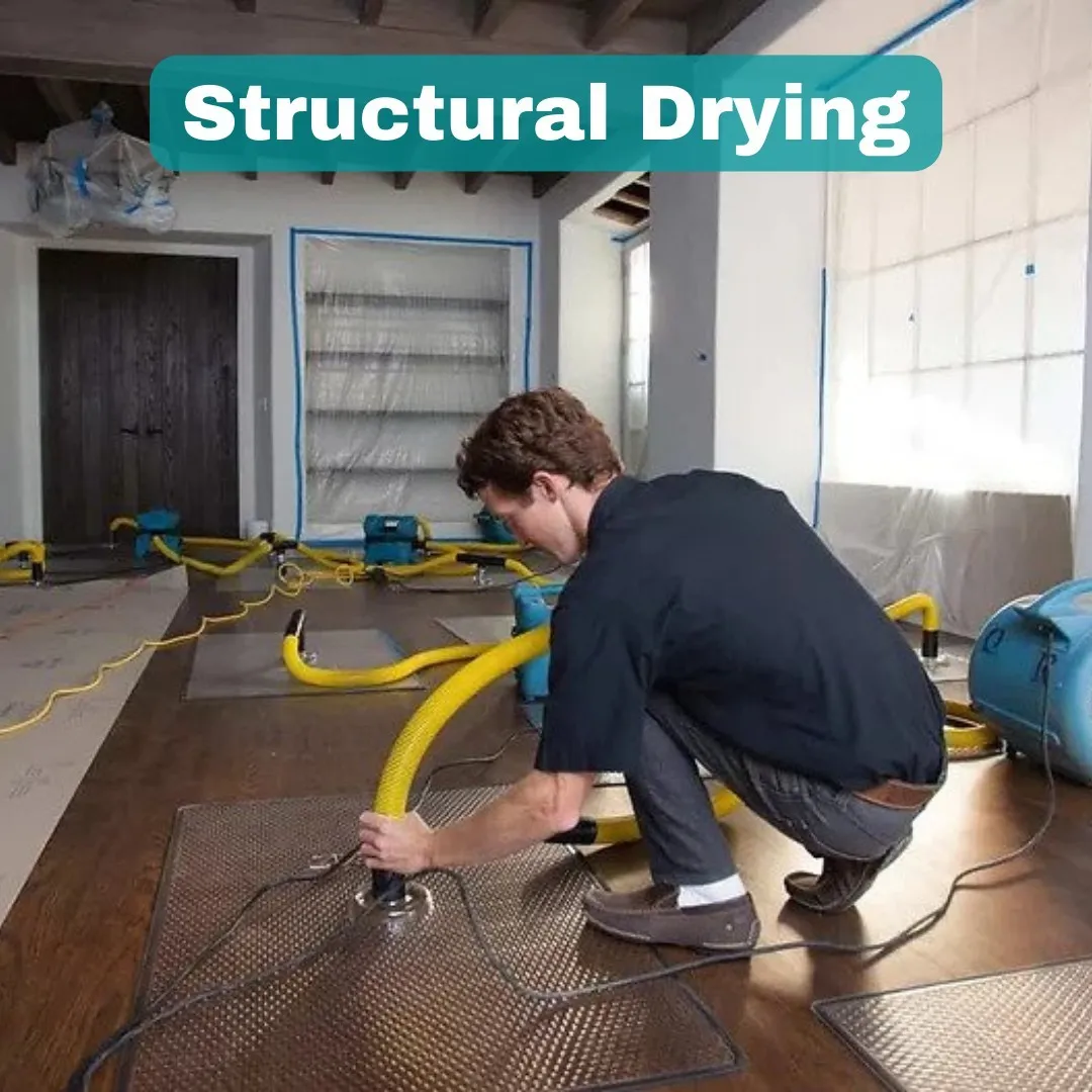 Technician demonstrating structural drying process using yellow extraction hoses on hardwood floor