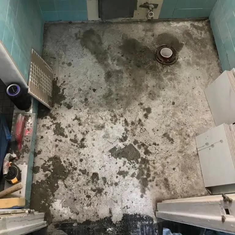 Contaminated bathroom floor with visible mold growth and water damage staining on concrete subfloor